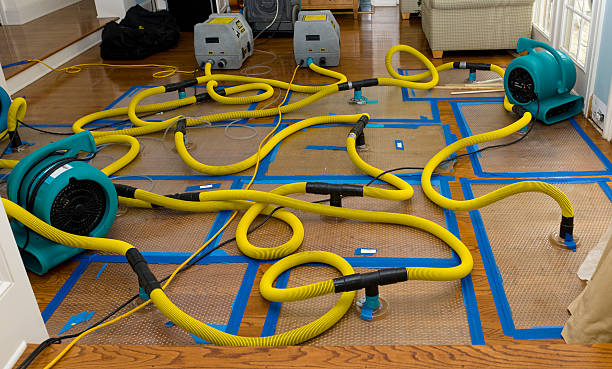 Professional Flood Damage Restoration technician working in Ferrysburg, MI